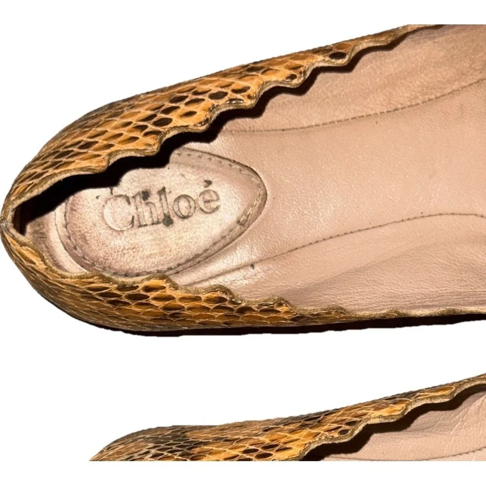 Chloe‎ Lauren Ballet Flats Brown Snakeskin Scalloped Womens Shoe Size EU 37 US 7